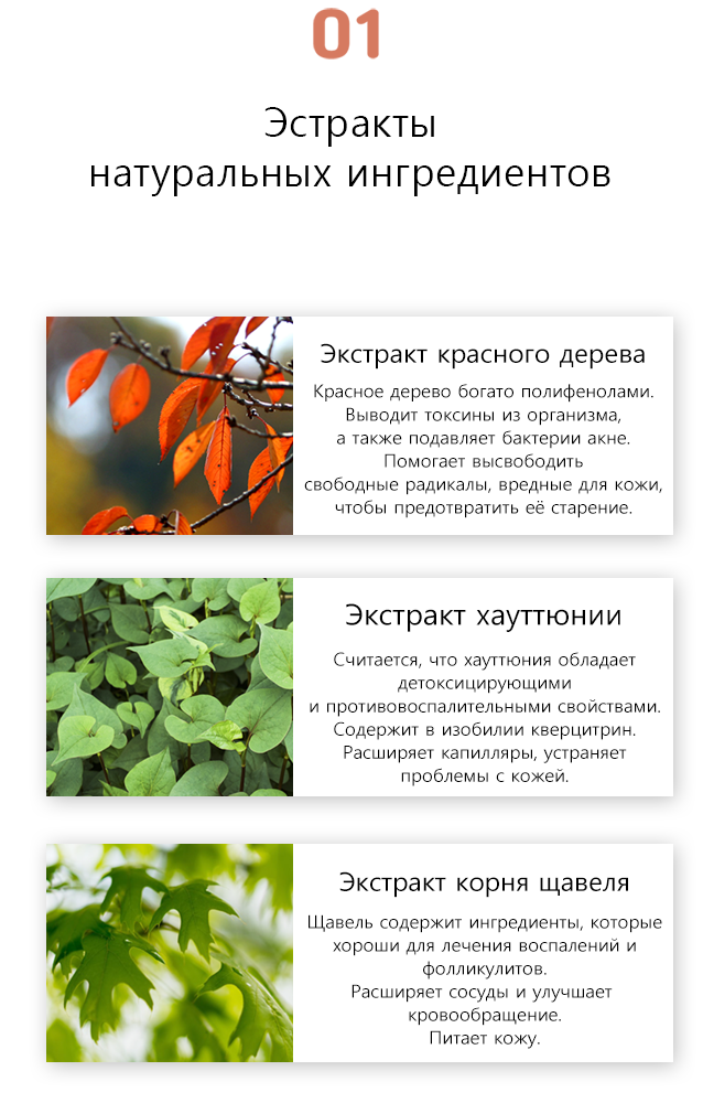 Shue Ne Ra Red Formula Mist 7.png