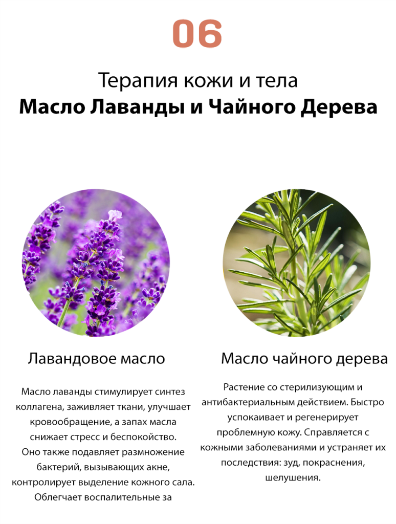 14.png